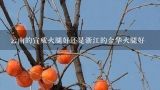 云南的宣威火腿好还是浙江的金华火腿好,宣威火腿好还是金华火腿好吃