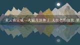 求云南宣威一火腿月饼牌子 大红色的包装 里面是十多二十个散装挤在一起的鲜花,松仁,苦荞.云腿宣威火腿月饼,求云南宣威一火腿月饼牌子 大红色的包装 里面是十多二十个散装挤在一起的鲜花,松仁,苦荞.云腿宣威火腿月饼
