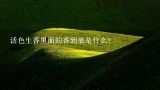 活色生香里面的香到底是什么？活色生香里面文世轩到底爱不爱宁佩珊还有宁佩珊是在第几集死的