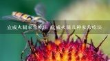 宣威火腿家常吃法 宣威火腿几种家常吃法,宣威火腿都有哪些做法？