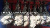 火腿哥大龙家的火腿火腿怎么购买？各地的小吃大全
