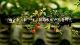 云南省名、特、优、新的农副产品有哪些,过年去昆明玩好玩不，会有什么活动啊?