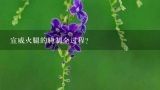 宣威火腿的腌制全过程？宣威火腿吃前怎么处理