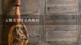 云腿是用什么肉做的,宣威哪个地方的火腿比较正宗？