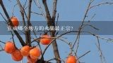 宣威哪个地方的火腿最正宗？你了解宣威火腿历史吗？