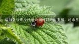 请问各位那个快递公司可以寄肉类啊，超市里买的宣威火腿,云南省 曲靖市 宣威市 落水镇什么快递到