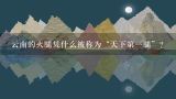 云南的火腿凭什么被称为“天下第一腿”？你了解宣威火腿历史吗？