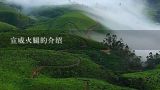 宣威火腿的介绍,宣威火腿的做法