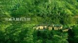 宣威火腿的介绍,怎样鉴别宣威火腿的真假？