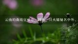 云南的曲靖宣威市，因为一只火腿驰名中外，这到底是,求宣威火腿的渊源，来历，独特之处，烹饪方法，有图