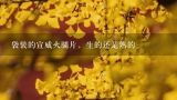 袋装的宣威火腿片，生的还是熟的,朋友送了一块云南火腿，真空包装那种，在冰箱放了很