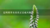 昆明那里有卖真正宣威火腿的,从昆明去宣威的客车在哪个站坐，票价多少？