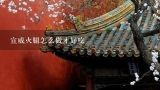 宣威火腿怎么做才好吃,宣威火腿怎么弄才好吃