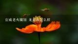 宣威老火腿馆 龙泉店怎么样,云南粗人宣威老火腿馆 龙泉路店