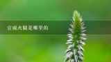 宣威火腿是哪里的,在哪里可以买到正宗的宣威火腿？