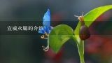 宣威火腿的介绍,宣威火腿的基本介绍