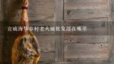 宣威海华乡村老火腿批发部在哪里,小V昆明哪里批发火腿肠?