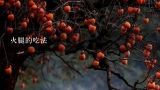 火腿的吃法,宣威火腿的做法