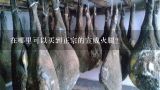 在哪里可以买到正宗的宣威火腿？宣威火腿哪家的好？