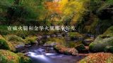 宣威火腿和金华火腿哪个好吃,火腿的吃法