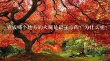 宣威哪个地方的火腿是最正宗的？为什么呢？