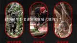 昆明哪里有老浦家买宣威火腿的？？正宗云南宣威火腿在哪里买得到？