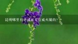 昆明哪里有老浦家买宣威火腿的？？宣威火腿哪家的好？