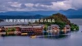 大理下关哪有正宗宣威火腿卖,云南大理诺邓火腿舌尖上的中国淘宝价格