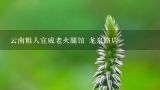 云南粗人宣威老火腿馆 龙泉路店,在昆明~可以去哪点找宣威火腿馆的餐厅吃饭啊？？