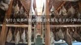 为什么说那些披着绿霉的火腿是真正的小鲜肉？
