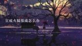 宣威火腿很咸怎么办,宣威火腿家常吃法