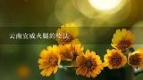 云南宣威火腿的吃法,火腿的吃法