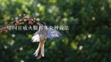 请问宣威火腿有多少种做法,宣威火腿金华火腿区别