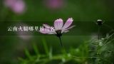 云南火腿哪里最出名,宣威火腿文化美食节 2019门票多少钱一个人