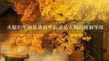 火腿的年份是猪的年龄还是火腿的腌制年限