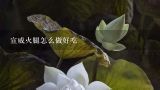 宣威火腿怎么做好吃,宣威火腿的吃法