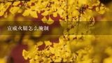 宣威火腿怎么腌制,宣威火腿的制作方法？