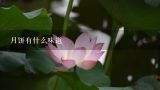 月饼有什么味道,昆明最有特色而又好吃的是什么？