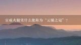 宣威火腿凭什么能称为“云腿之冠”？宣威火腿轮播图的排版规划可采用?