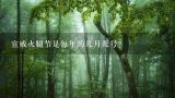 宣威火腿节是每年的几月几号？2022年宣威火腿文化节是哪天