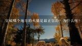 宣威哪个地方的火腿是最正宗的？为什么呢？宣威哪个地方的火腿比较正宗？