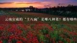 云南宣威的“土八碗”是哪八种菜？都有哪些特色？