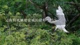 云南的火腿是宣威的最好吃吗？宣威火腿是邓诺火腿吗?