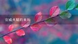 宣威火腿的来历,云南特产