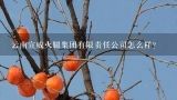 云南宣威火腿集团有限责任公司怎么样？宣威火腿集团现在在筹集资金，一万两万一股，买两万有1.6万的期权股，然后有2万商城购物，然后公司打