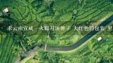 求云南宣威一火腿月饼牌子 大红色的包装 里面是十多二十个散装挤在一起的鲜花,松仁,苦荞.云腿宣威火腿月饼,云南禄劝的撒坝火腿比起宣威火腿，哪个更好吃一点？