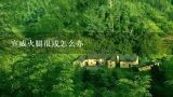 宣威火腿很咸怎么办,火腿怎样可以去除咸味？