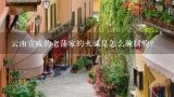 云南宣威的老蒲家的火腿是怎么腌制的？宣威火腿要腌多少天可以晒