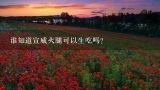 谁知道宣威火腿可以生吃吗？宣威火腿可以生吃吗