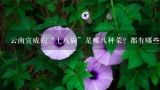 云南宣威的“土八碗”是哪八种菜？都有哪些特色？金华火腿的吃法